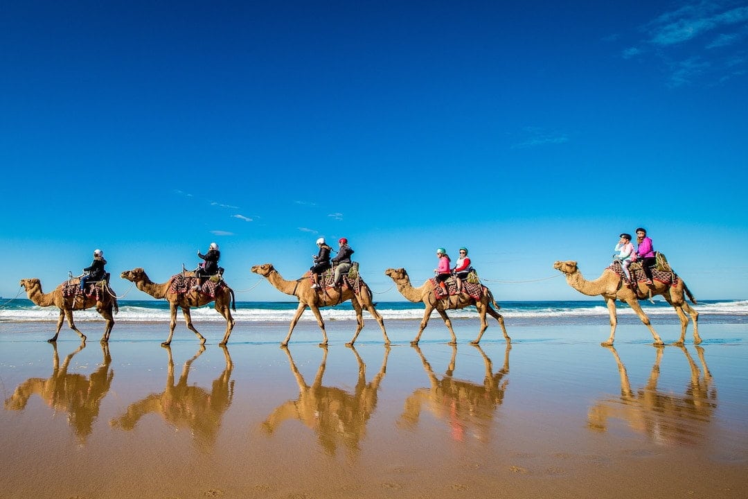 Camel rides on Lighthouse Beach