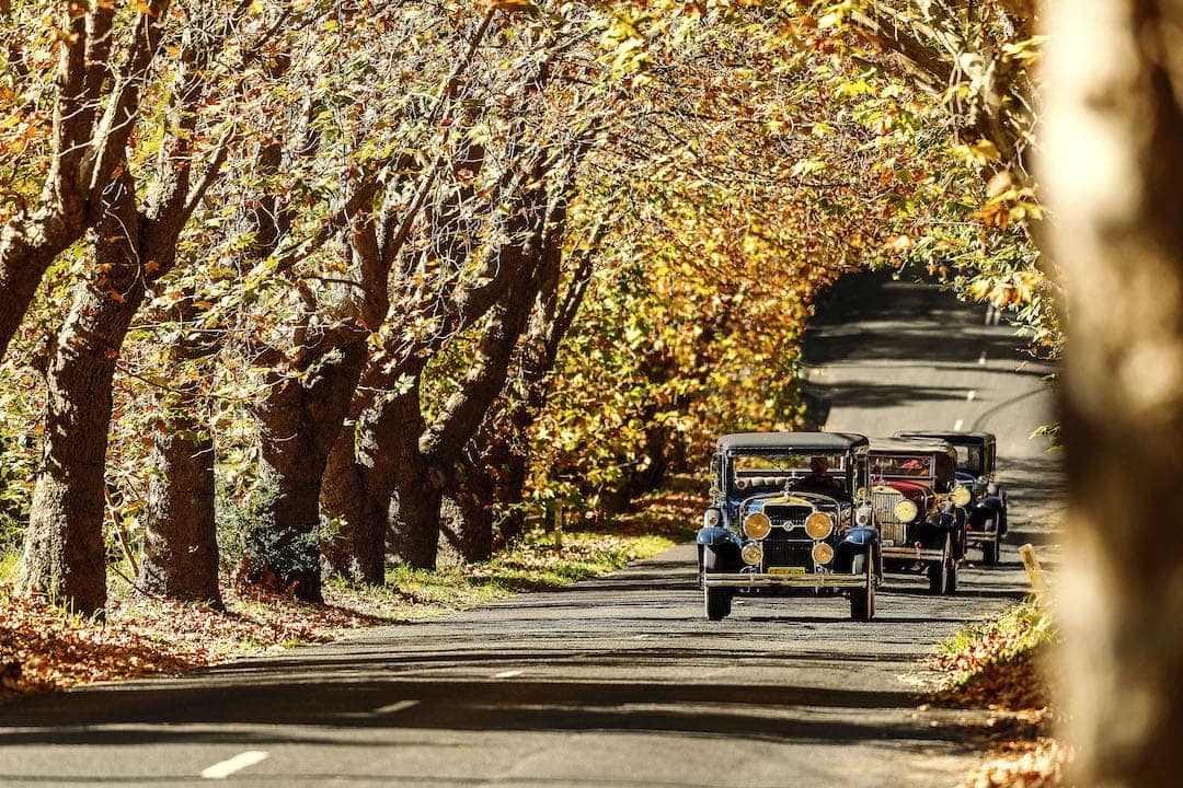 BM Vintage Cadillacs Blue Mountains Tour. Wentworth Falls in Autumn.
