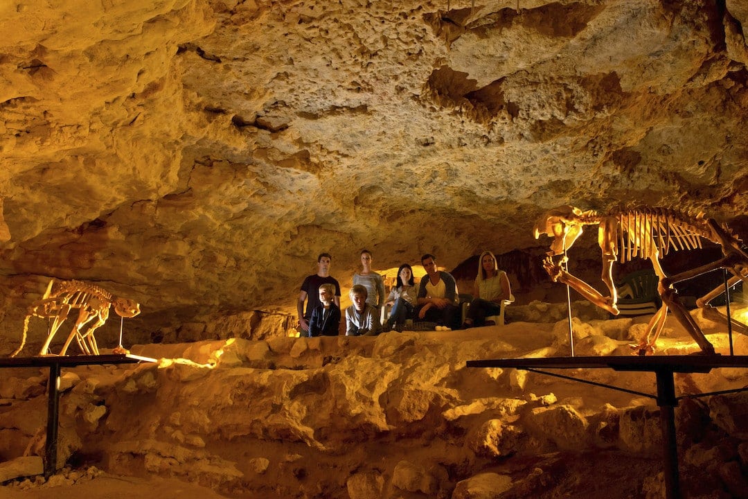 Naracoorte Caves National Park