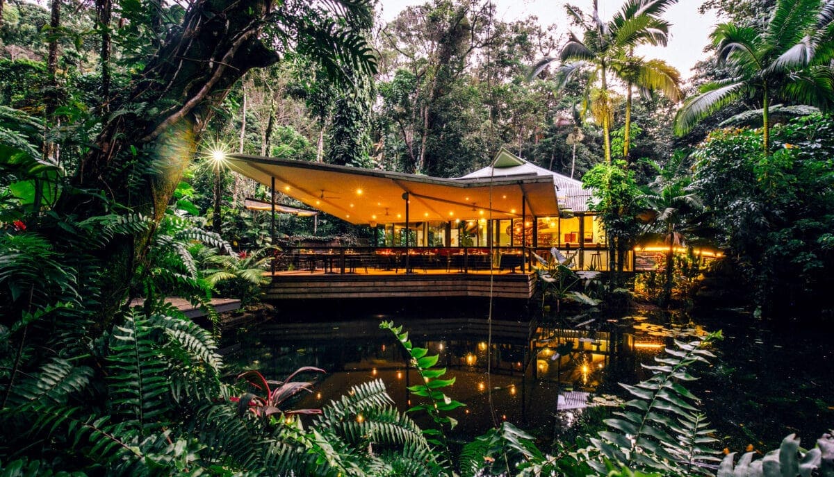 Daintree Rainforest Eco Rainforest Lodge 0099