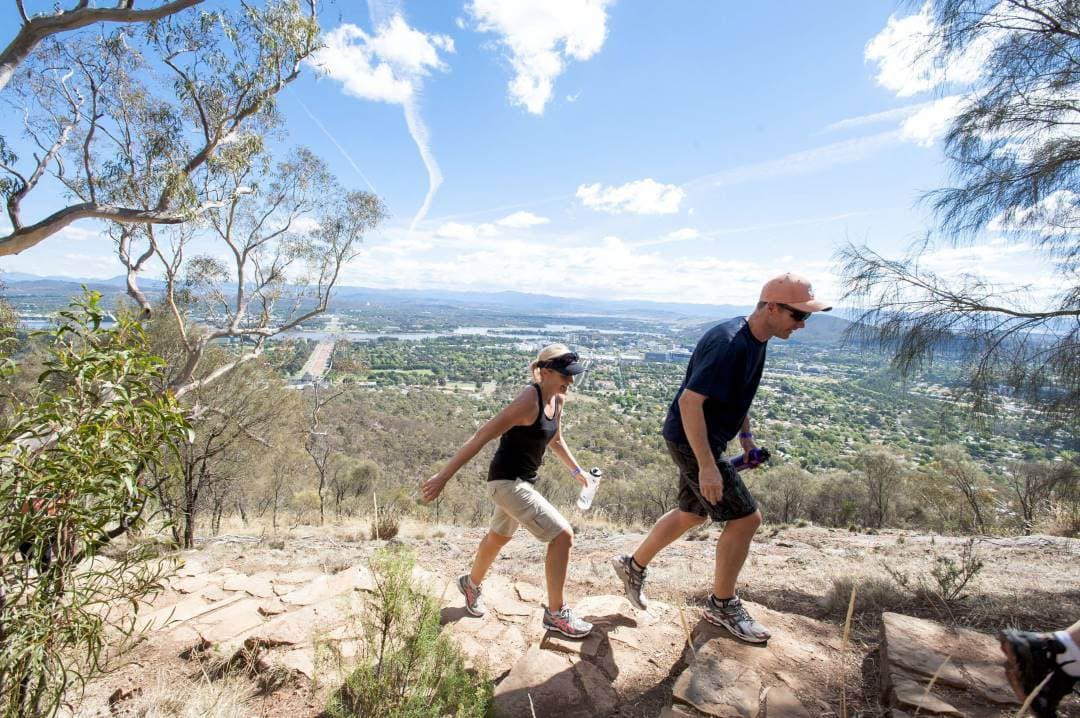 Mount Ainslie lookout hike