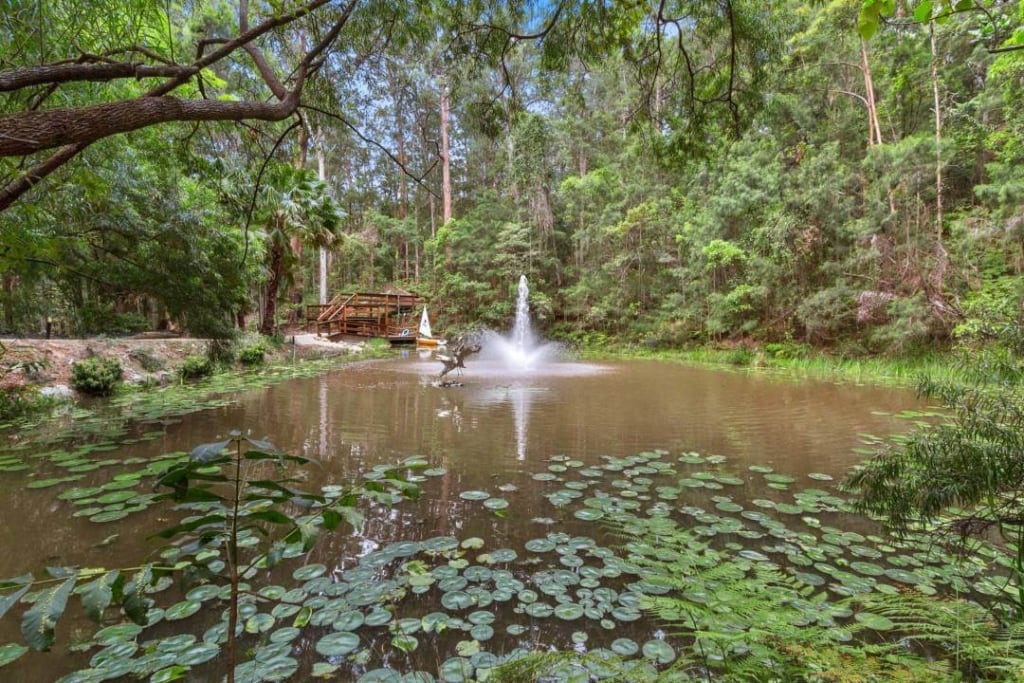 Pond and fountain, surrounded by forest.