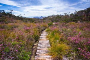 Freycinet National Park