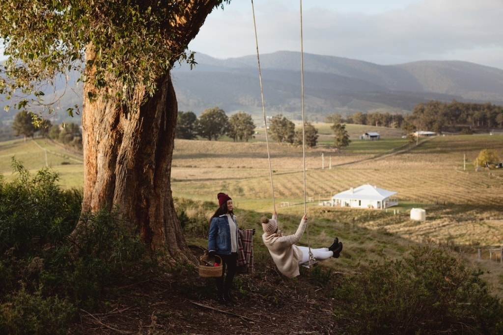 Huon Valley picnic