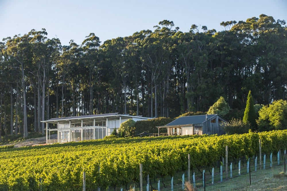 Moores Hill winery in Launceston