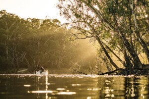 Fishing on the Edward River, Deniliquin