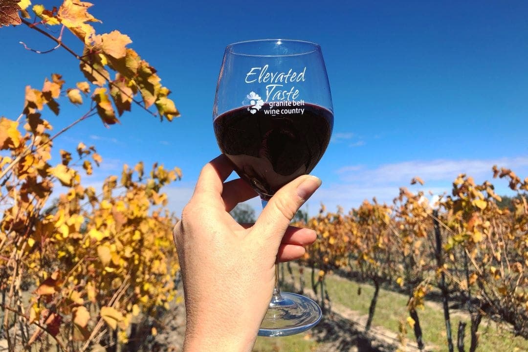Autumn Granite Belt Wine Country Glass