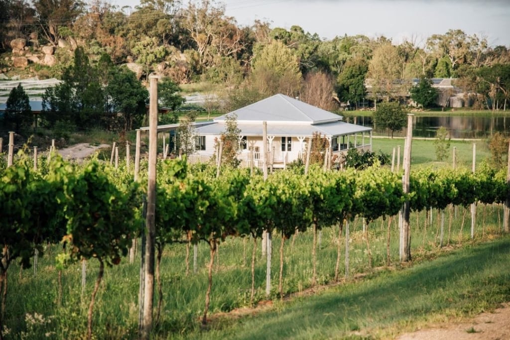 Twisted Gum Wines on the Granite Belt