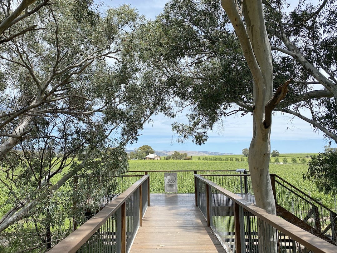 Scrubby Rise at Wirra Wirra Vineyards