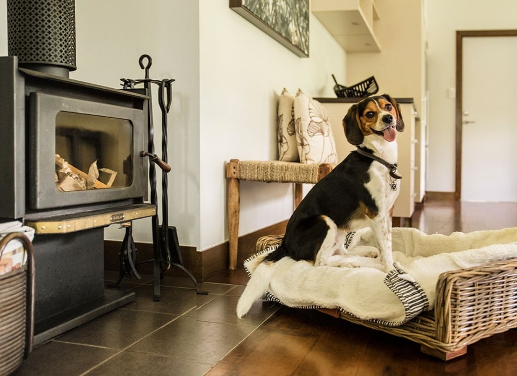Spicers Dog friendly hotels