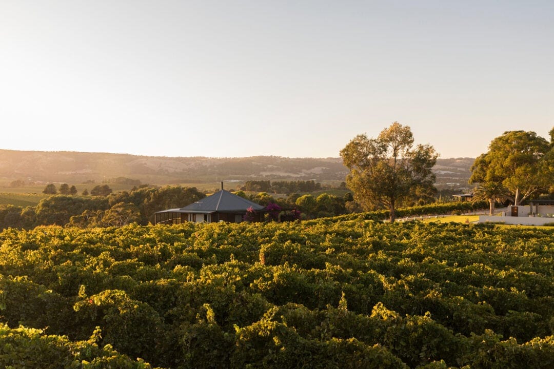 Fleurieu peninsula winery stay in South Australia