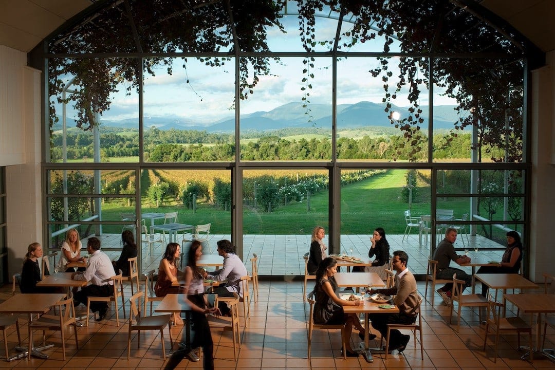 Dining at Domaine Chandon winery