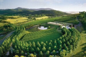 Aerial view of TarraWarra Estate