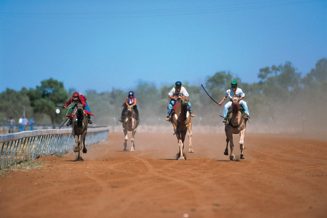 Boulia Camel Races