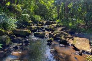 Creek falling over rocks in the Goonellabah butterfly gully public park at Lismore NSW, Australia