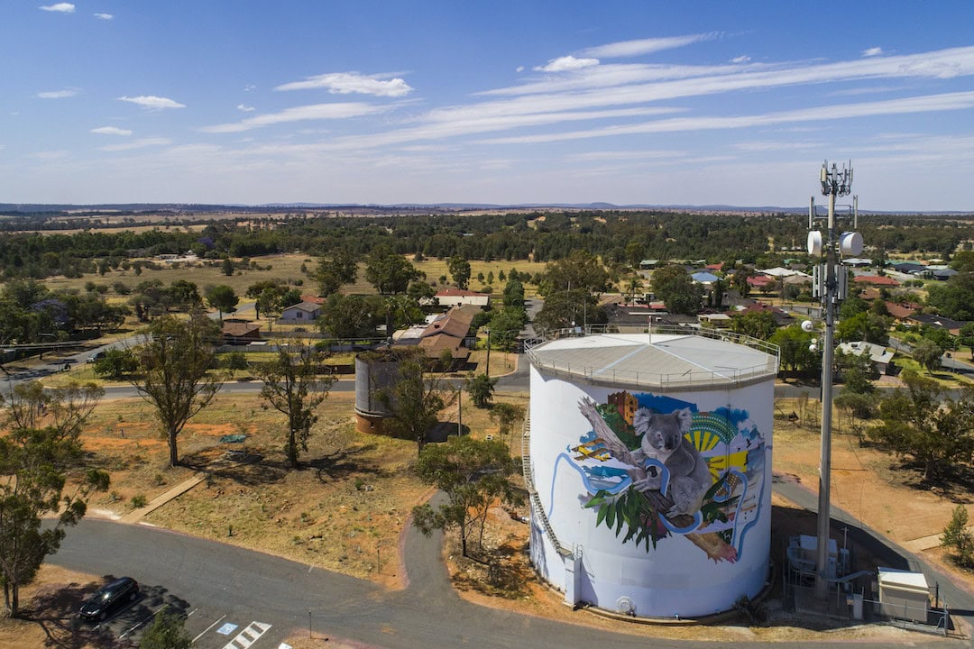 The Koala mural found along the Narrandera Water Tower Art Trail in Narrandera.