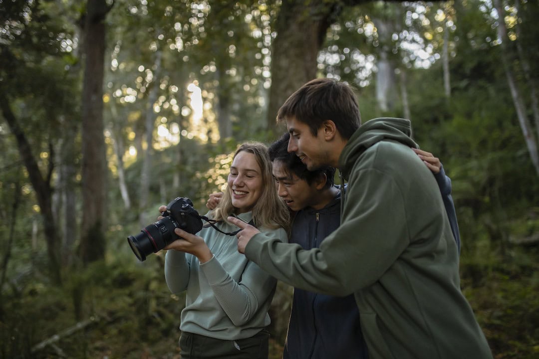 People enjoying the rainforest surrounding Dangar Falls in Dorrigo National Park. Photo: Destination NSW.