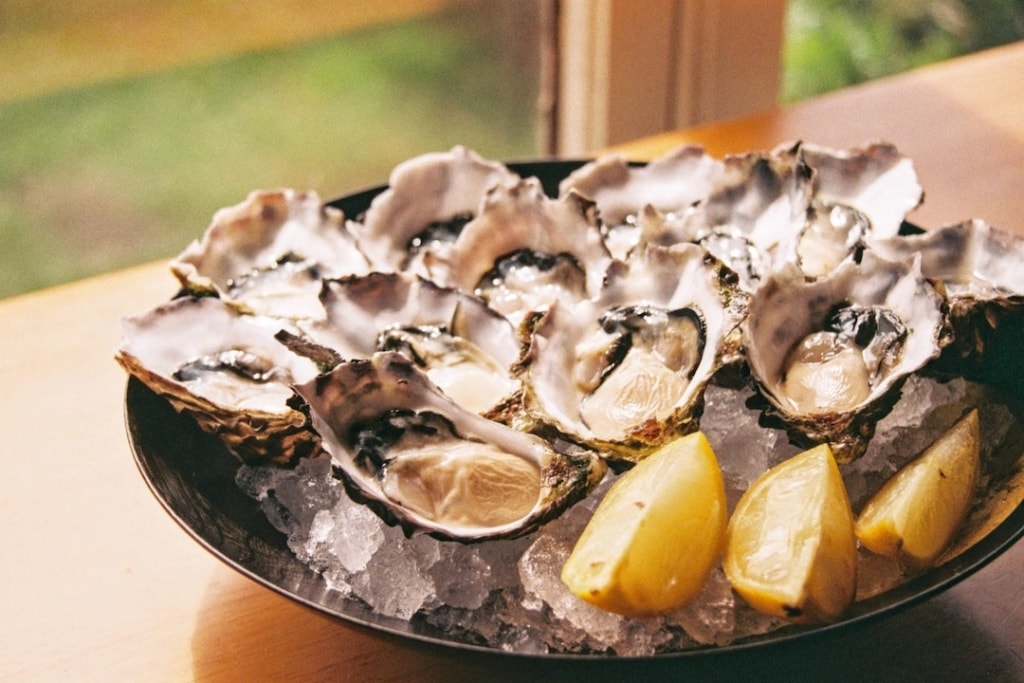 Oyster experiences around Australia.