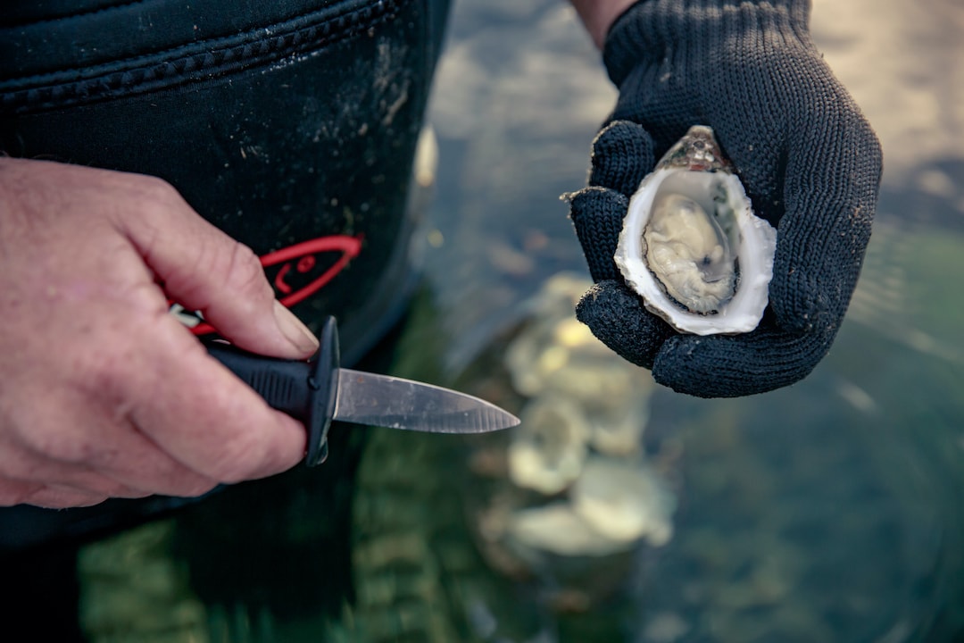 oyster experiences in Ceduna