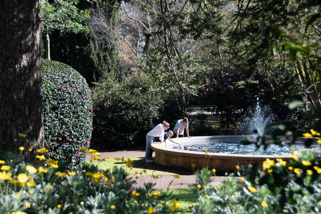 Family observing a fountain in Laurel Bank Park. Image: Tourism and Events Queensland.