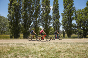 cycling in orange