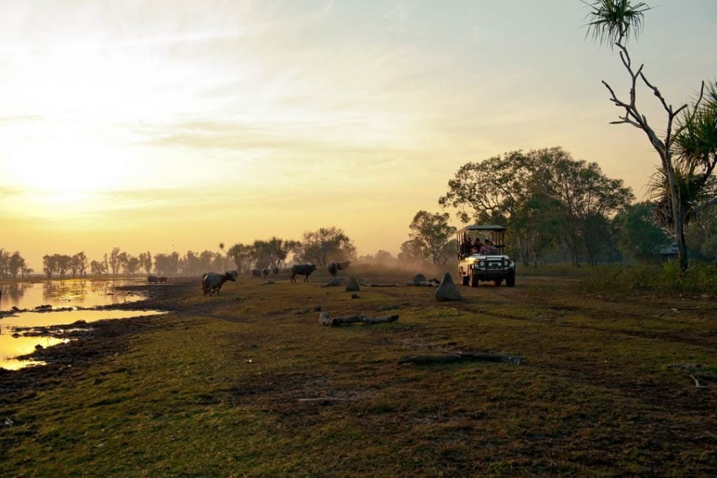 Northern Territory