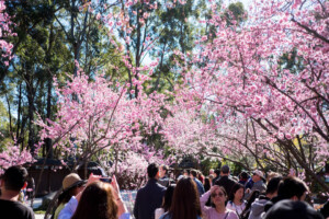 winter activities in sydney