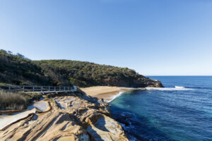 bush and coastal walks