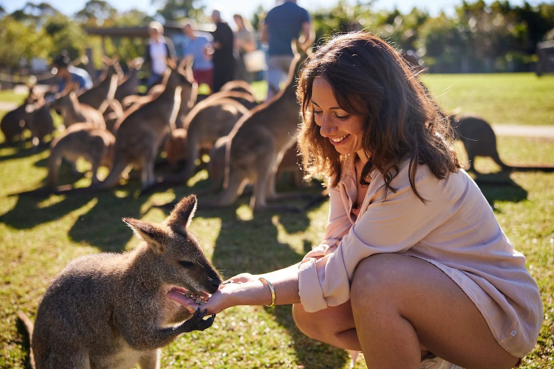 Local Travel Planner??s friendly, knowledgable guides love showing visitors to Sydney a great day out that combines spectacular scenery, fascinating history, wildlife experiences and good food and wine.