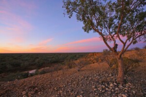 The view from Janets Leap © John Augusteyn, Queensland Government