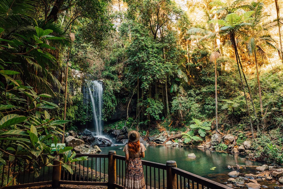 Curtis Falls. Image: Tourism and Events Queensland.