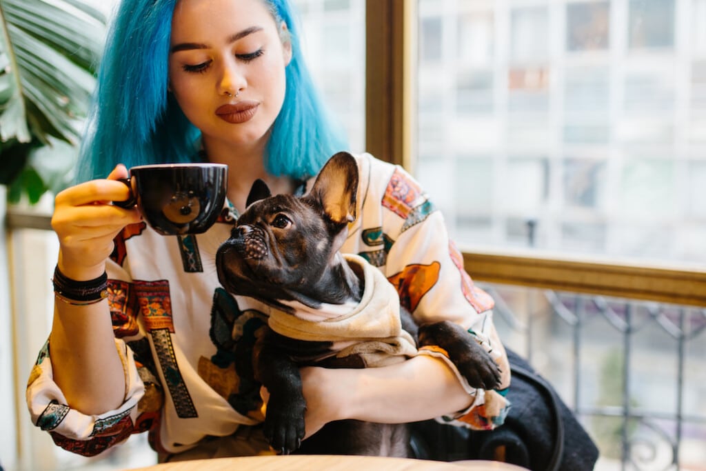 places to eat in melbourne with your dog