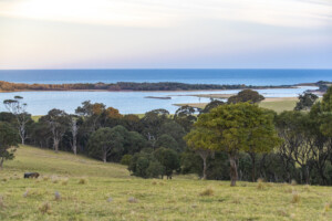 Tilba Tilba Lake, Central Tilba