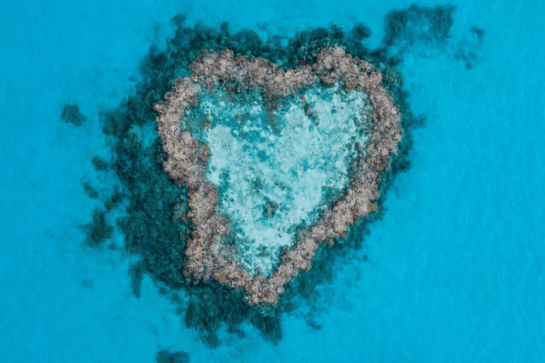 great barrier reef