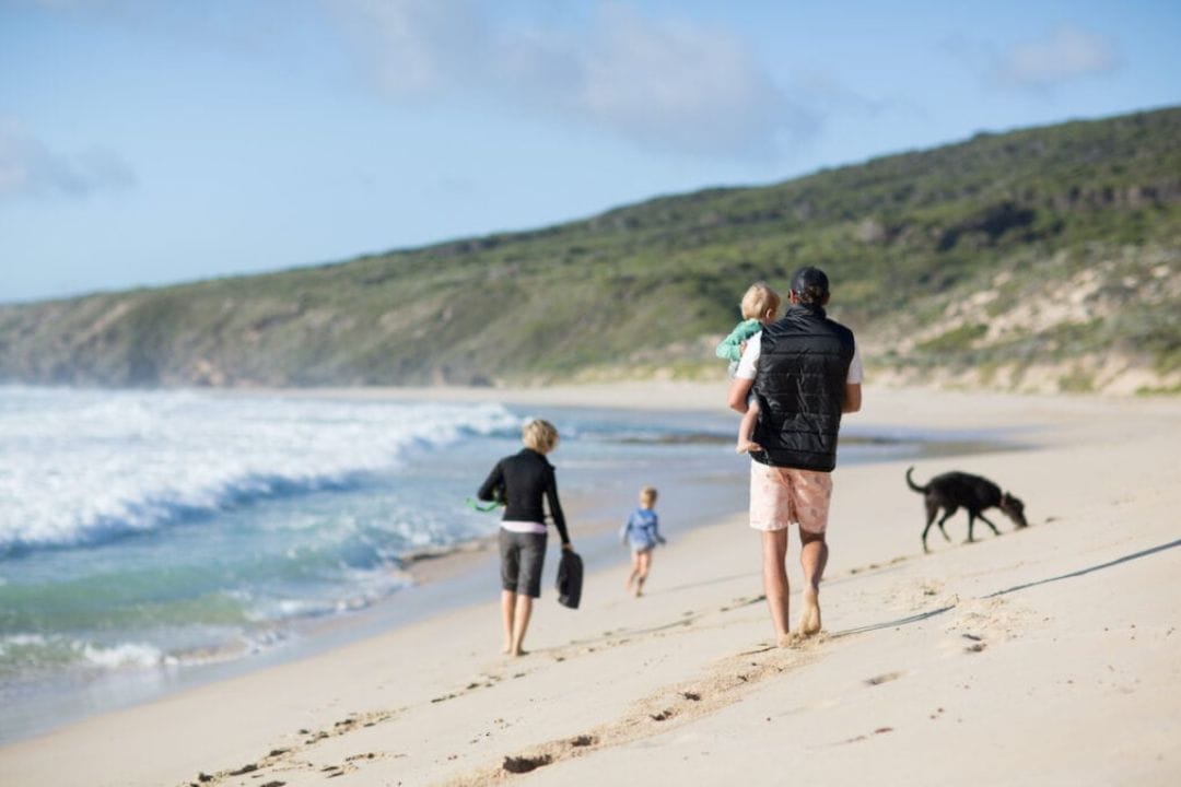 The Ultimate Guide To Australia’s Best Dog Friendly Beaches - Truly Aus