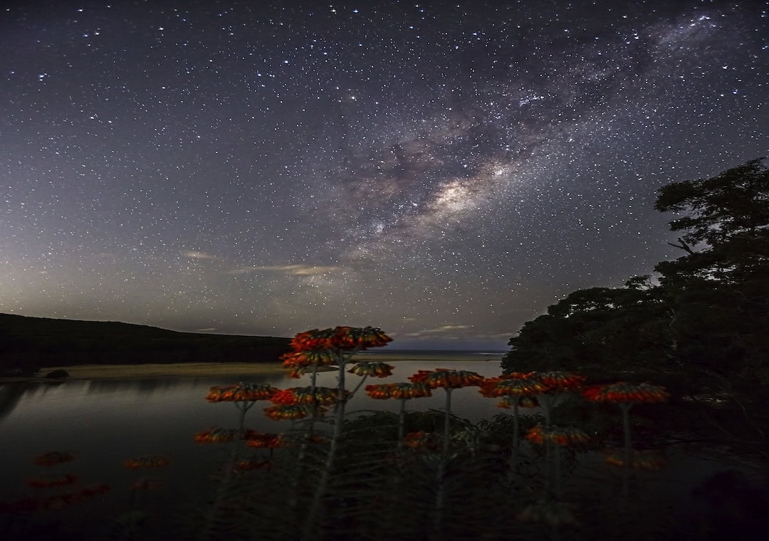 stargaze in and around Sydney