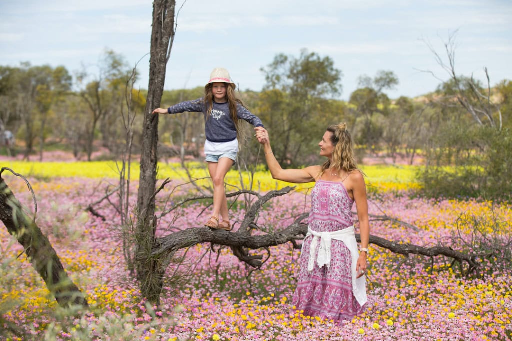 Wildflowers