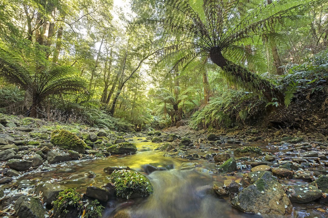 Scenic view of a waterway running through Deua National Park, Moruya.