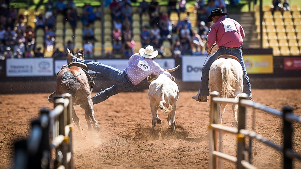 Rodeo in Mount Isa