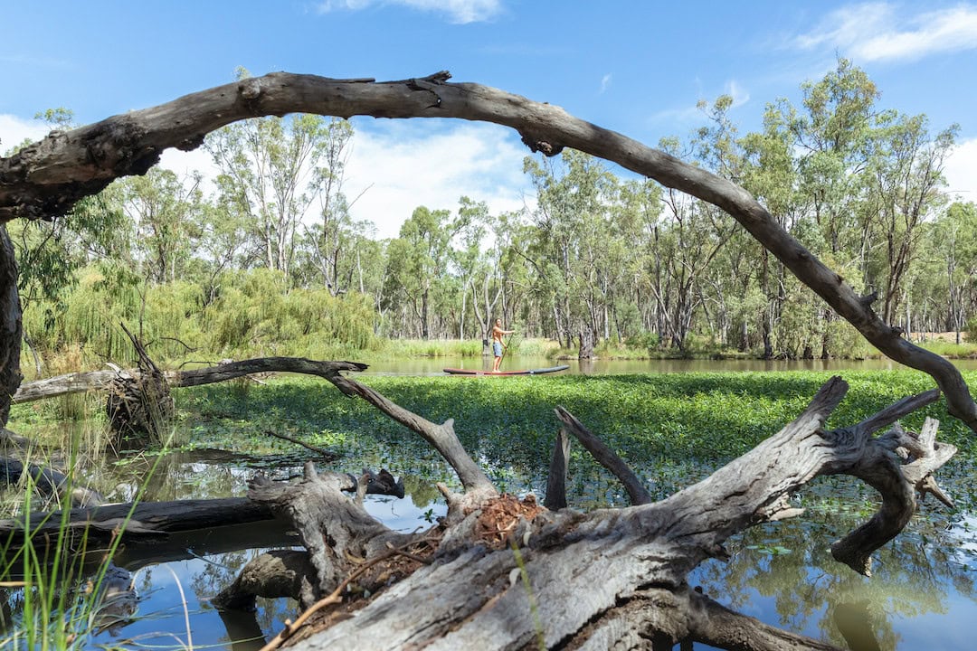 Man enjoying a paddle on the Murrumbidgee River, Narrandera.