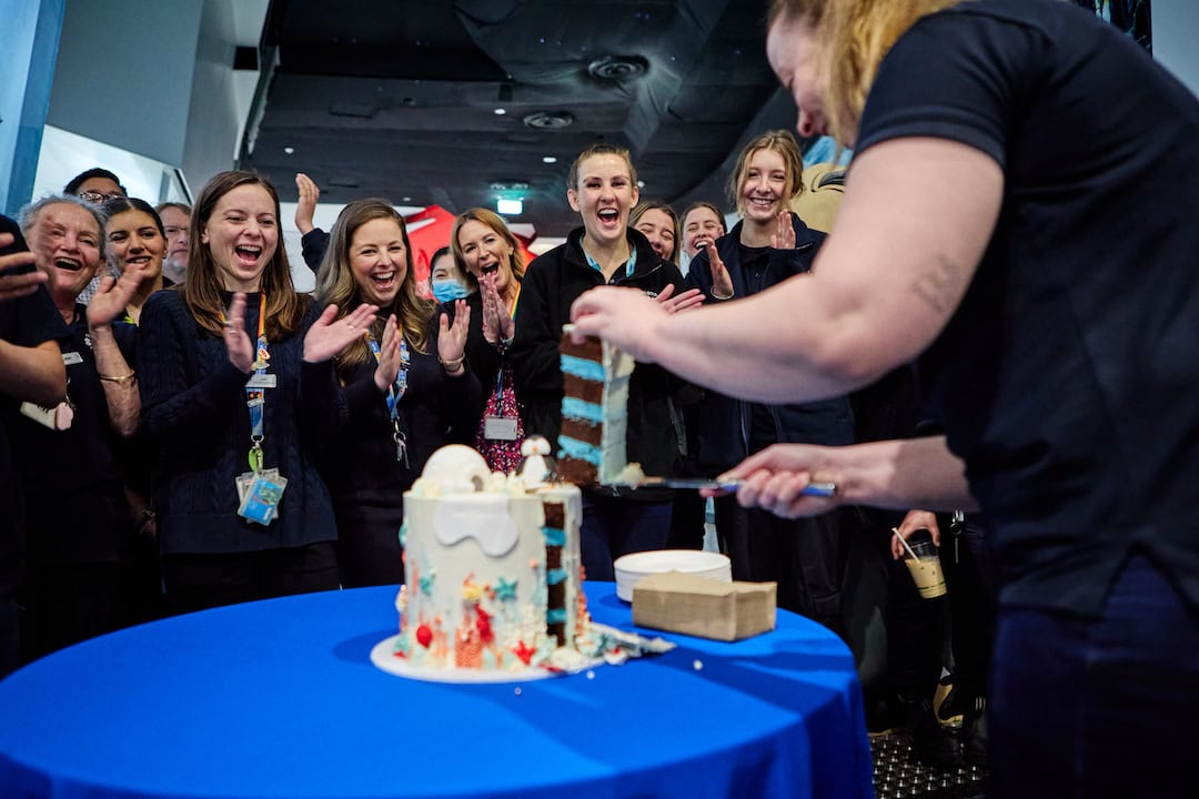 Staff celebrating Pesto's gender reveal in September. Image: Sea Life Melbourne Aquarium.