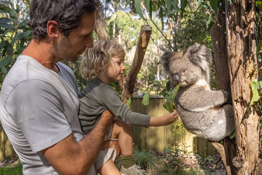 Potoroo Palace, Merimbula, an educational and conservation wildlife sanctuary .