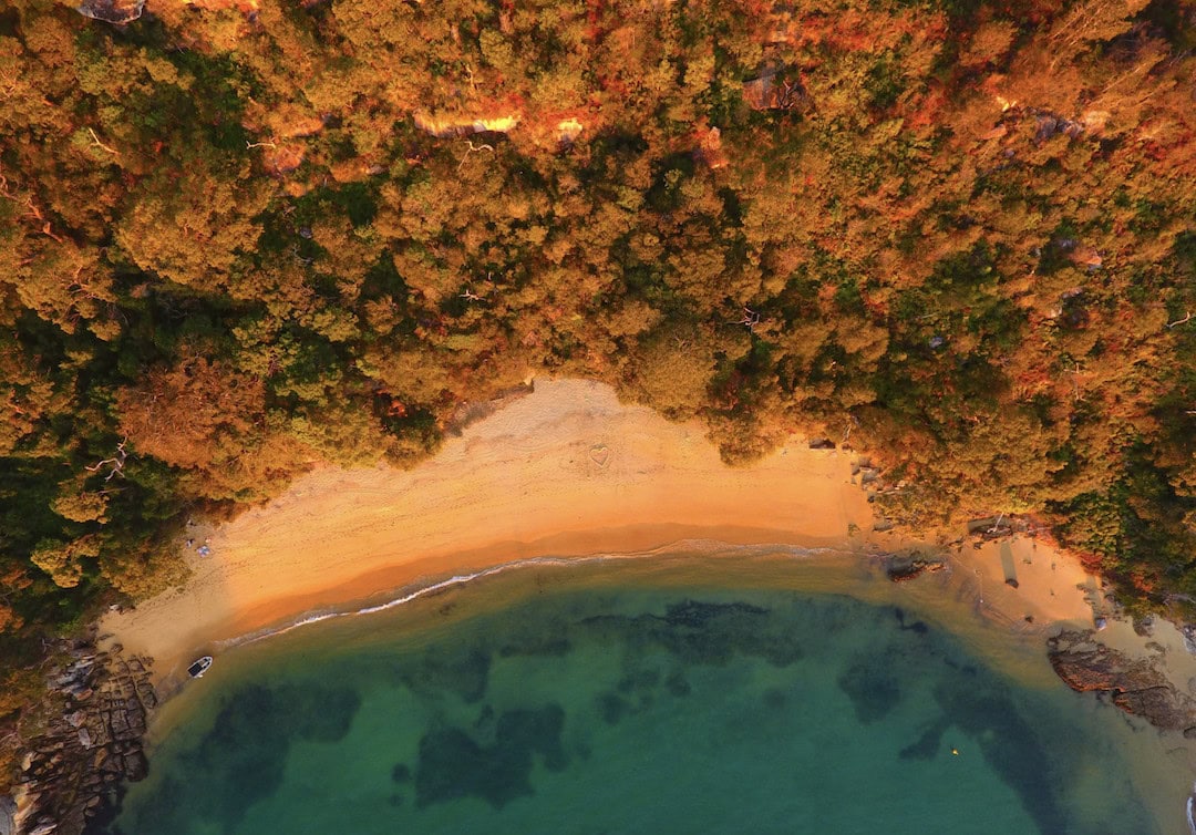 Store Beach, one of the most stunning Sydney Harbour beaches. Photo: Manly Kayak Centre.