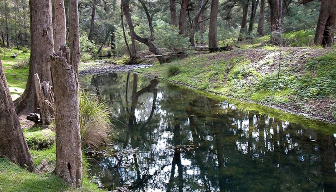 Turon River. Photo: D. Noble/NSW National Parks.