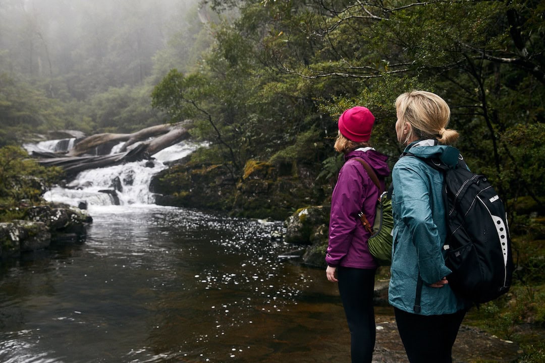 Barrington Tops National Park