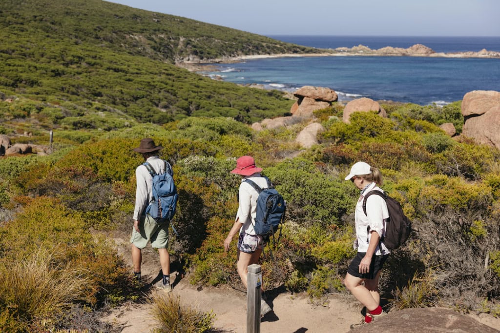 A group walking along the Cape to Cape track.