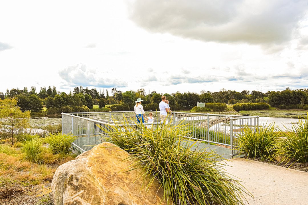 Goulburn wetlands