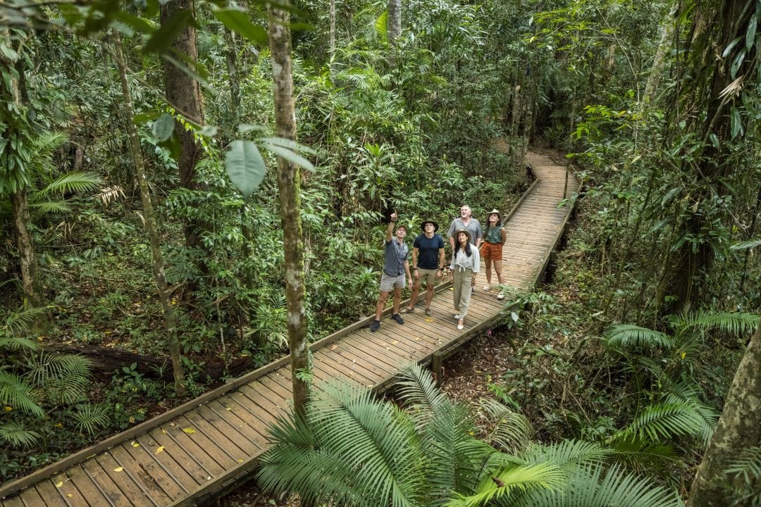 Group of young adults tour the Daintree Rainforest