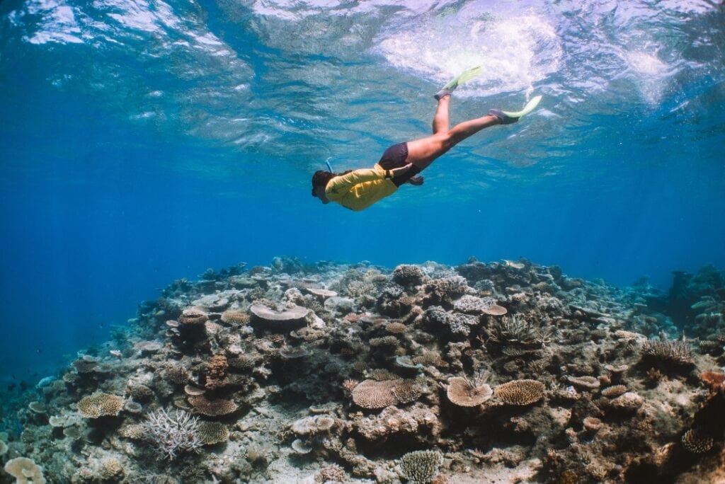Swimmer dives underwater to look at the unparalleled beauty of the Great Barrier Reef