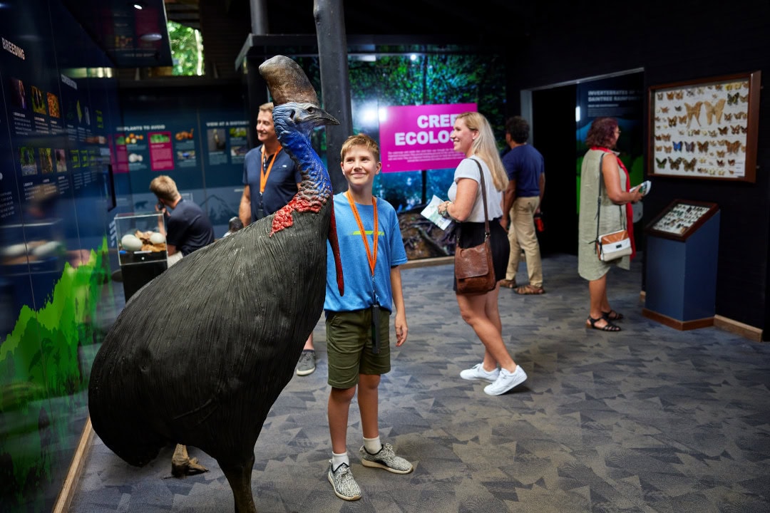 boy with cassowary model at the Daintree Discovery Centre.